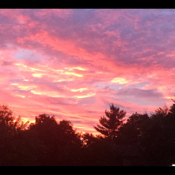 Meet your Posher, Julie - Picture 1 of 1